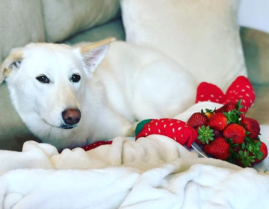 strawberry socks