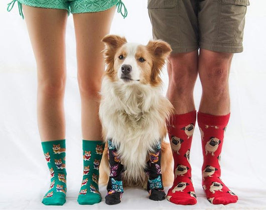 dog socks