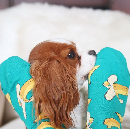 banana socks