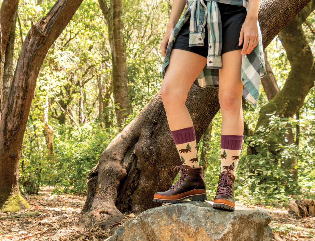 bear socks