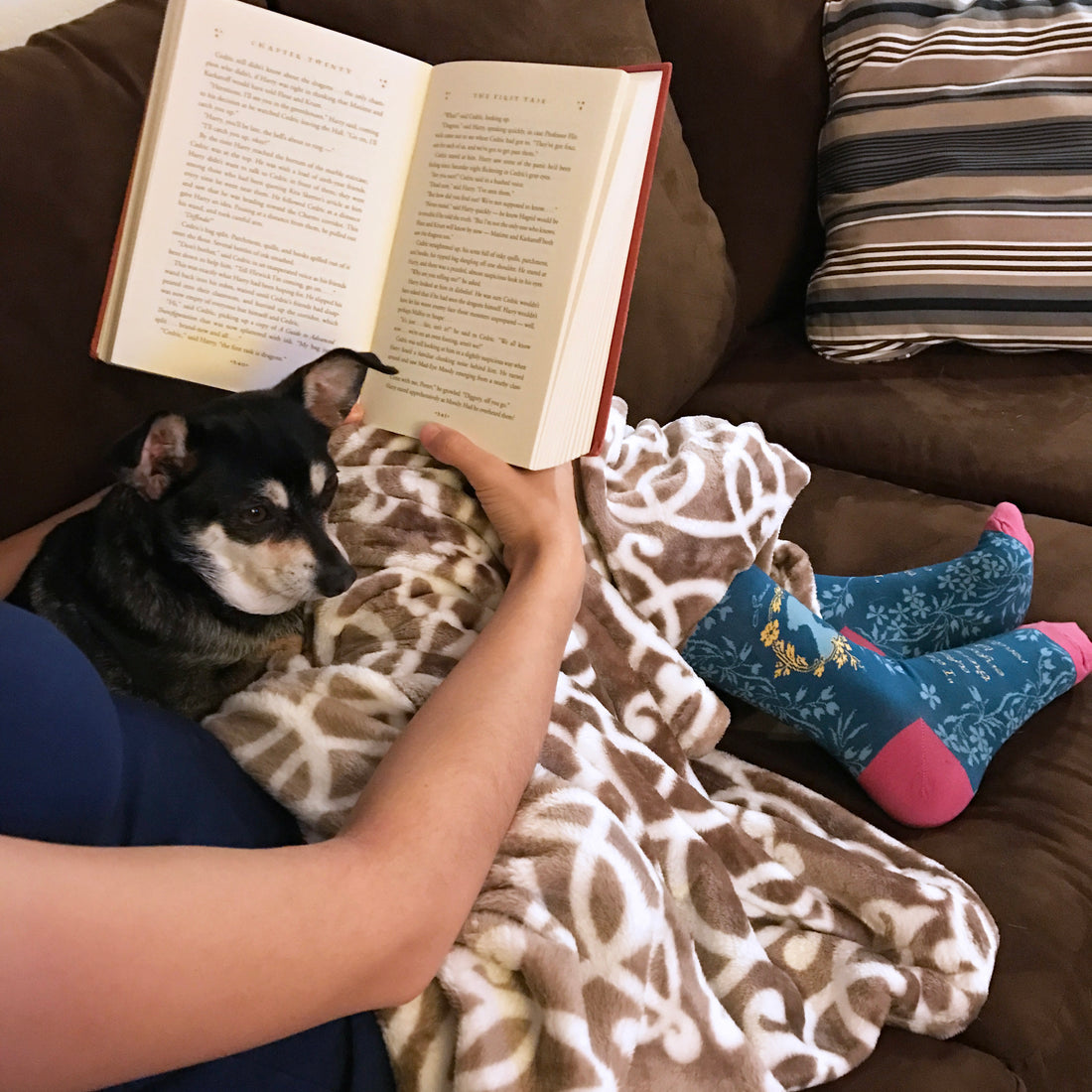 jane austen socks