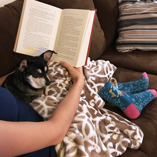 jane austen socks