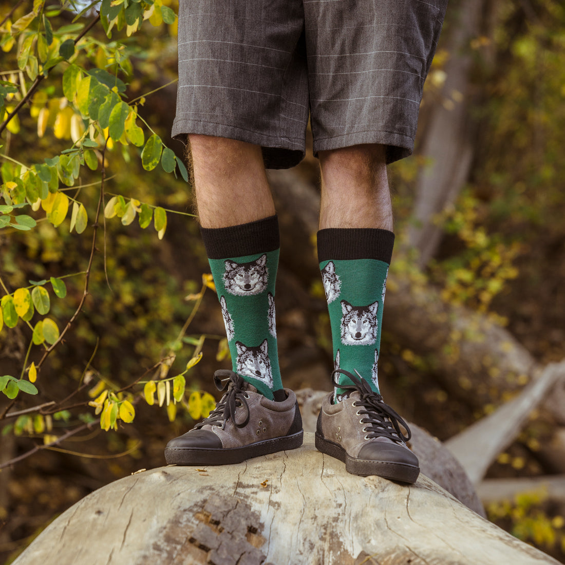 wolf socks
