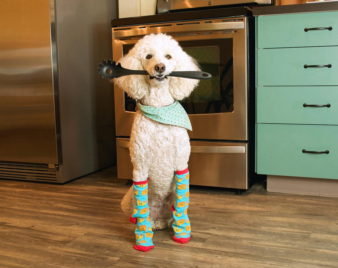 macaroni socks