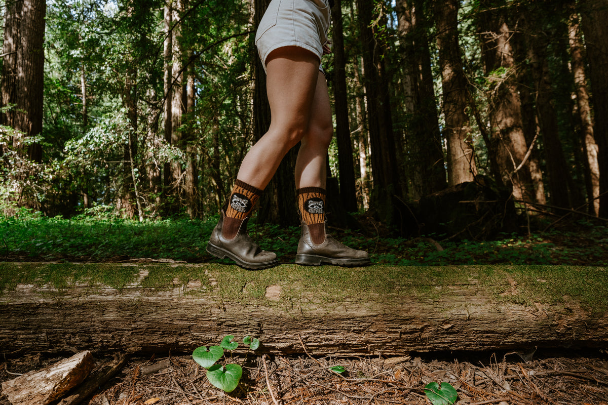 woman wearing raccoon-themed Merino wool socks balancing on a tree trunk amongst Redwoods
