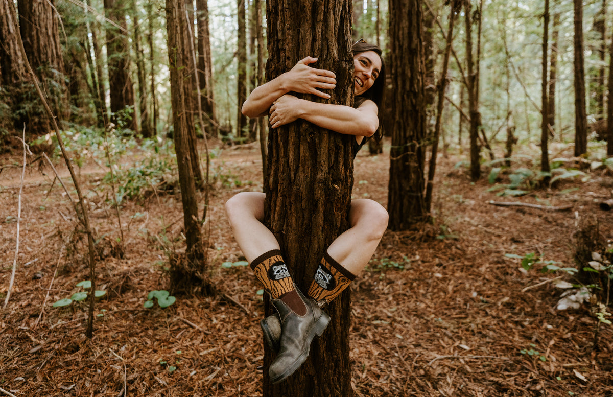 A woman in a forest setting, hugging a large tree trunk wearing raccoon-themed Trash Bandit socks. 